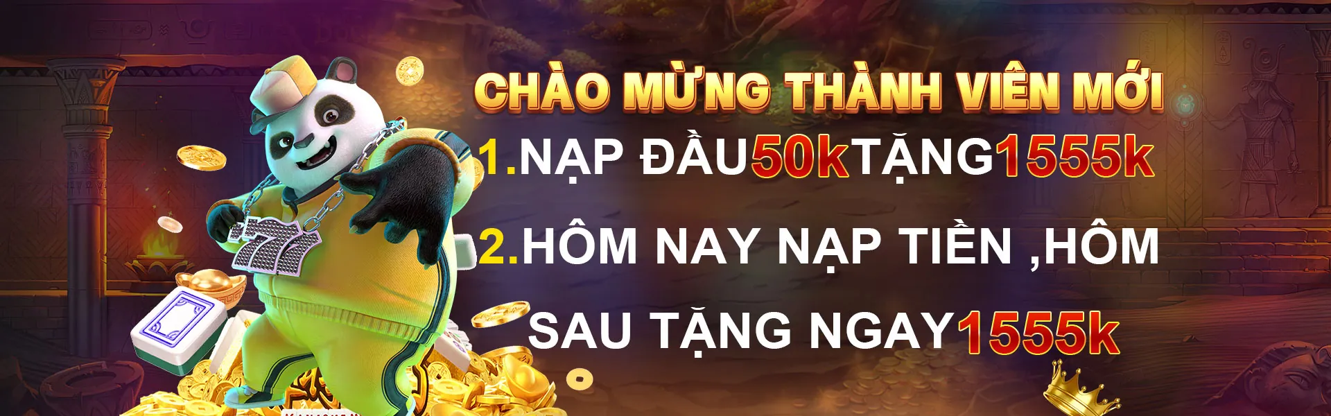 Hình ảnh chính của trang Điều khoản và Điều kiện ricvip