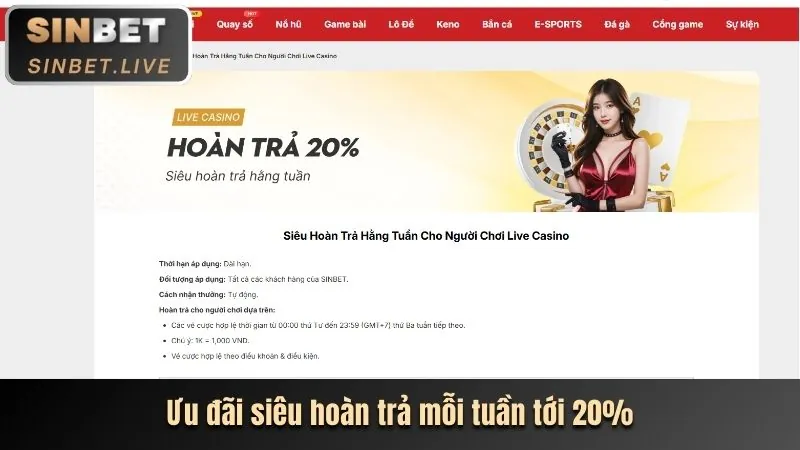 Cách tham gia chương trình VIP ricvip
